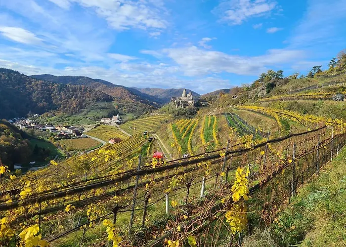 Fruehstueckspension Leopold Janu Nocleg ze śniadaniem 3*
