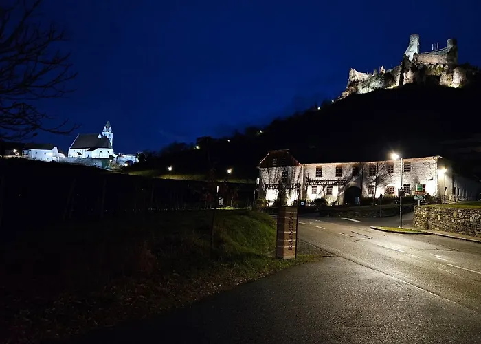 住宿加早餐酒店 Fruehstueckspension Leopold Janu 3*