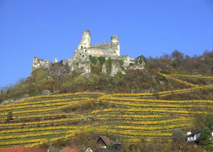Fruehstueckspension Leopold Janu Nocleg ze śniadaniem Senftenberg